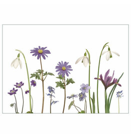 Lang & Schrödter Wenskaart - Frühlingsblüher - Dubbele kaart + Envelop