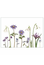 Lang & Schrödter Wenskaart - Frühlingsblüher - Dubbele kaart + Envelop