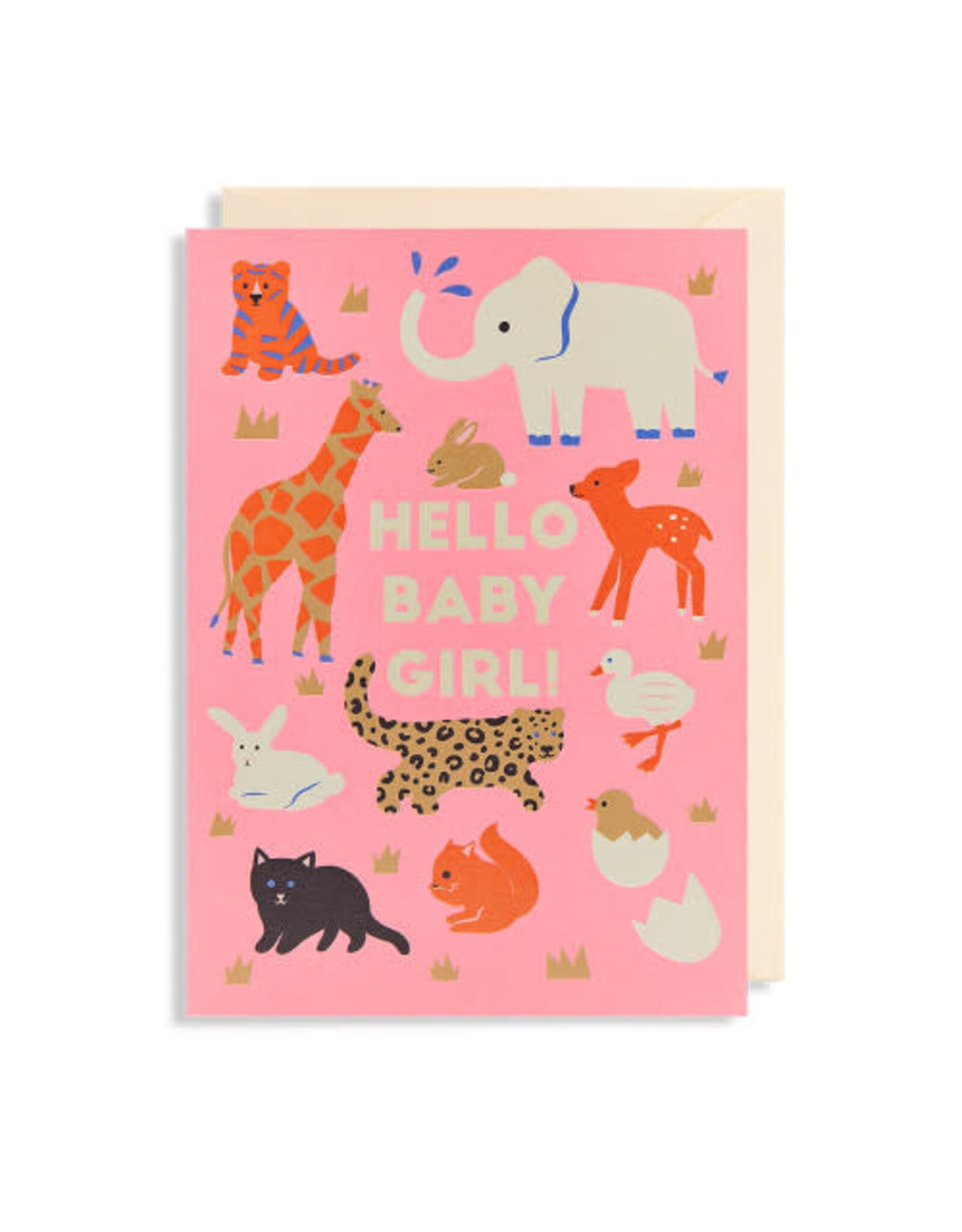 Naomi Wilkonson Wenskaart - Hello Baby Girl - Dubbele kaart + Envelop
