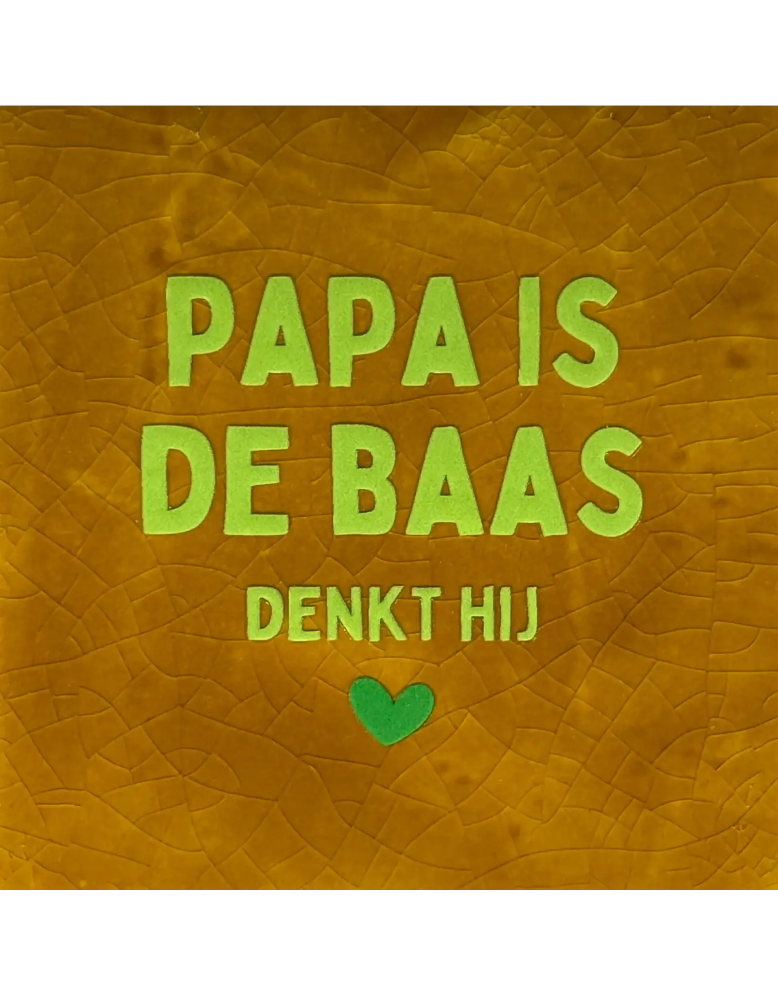 Yett Tegeltje - Papa is de baas denkt hij, Oker/Lime - 10x10