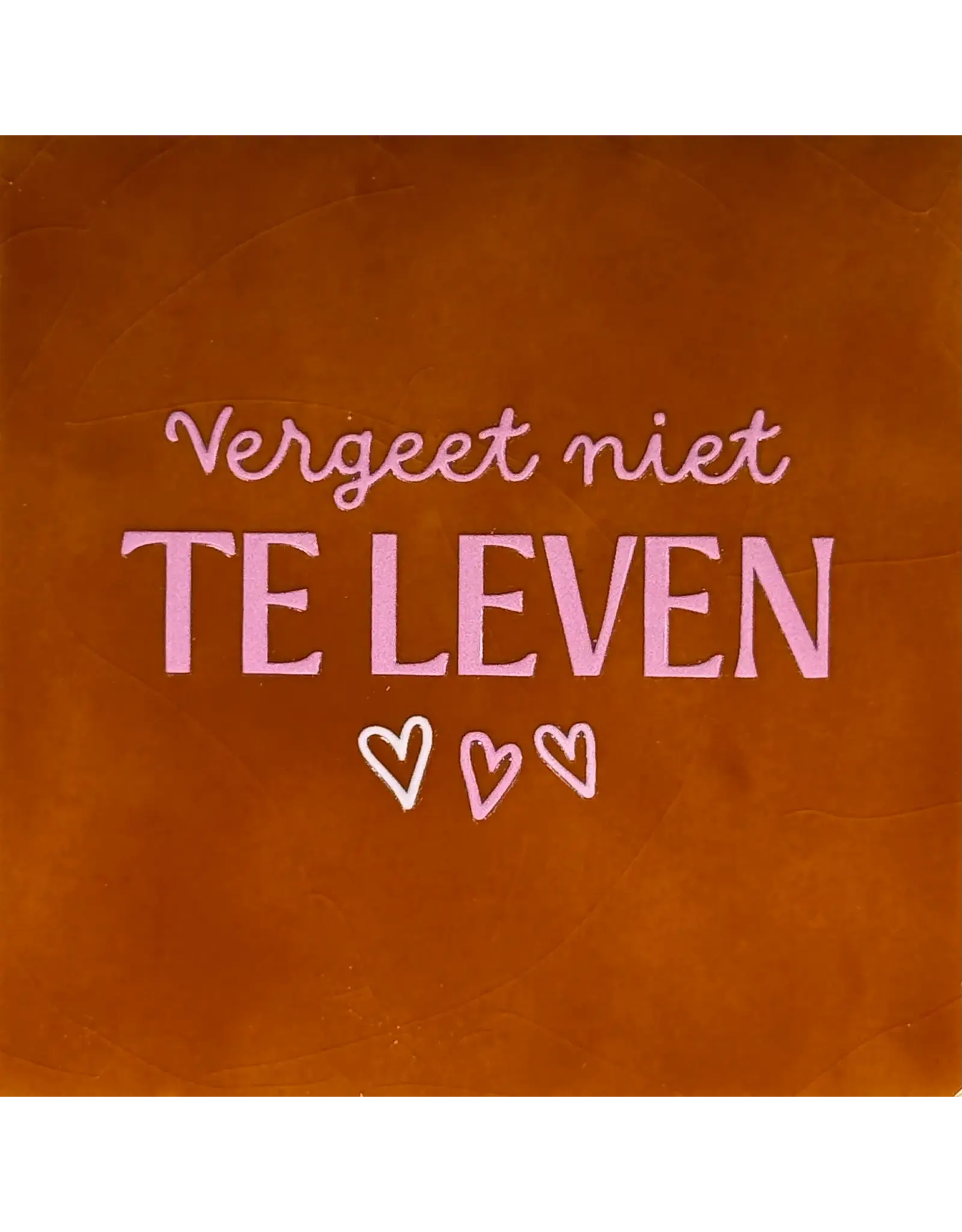Yett Tegeltje - Vergeet niet te leven, Terra/Warmroze - 10x10