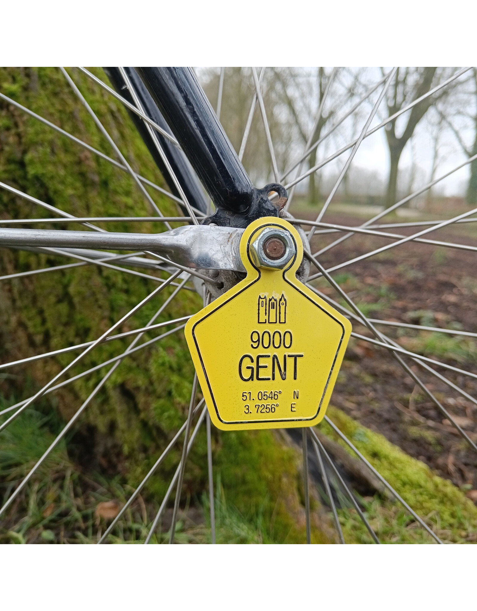 Cyclosonic City Tag, Gent