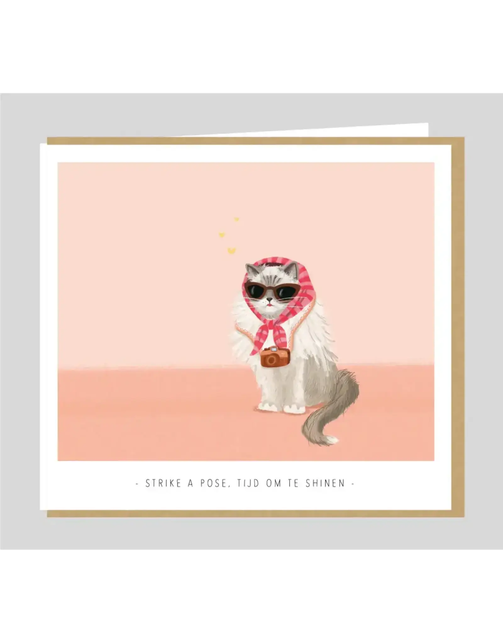 Studio Mie Wenskaart - Strike a pose! Tijd om te seinen - Dubbele kaart + Envelop