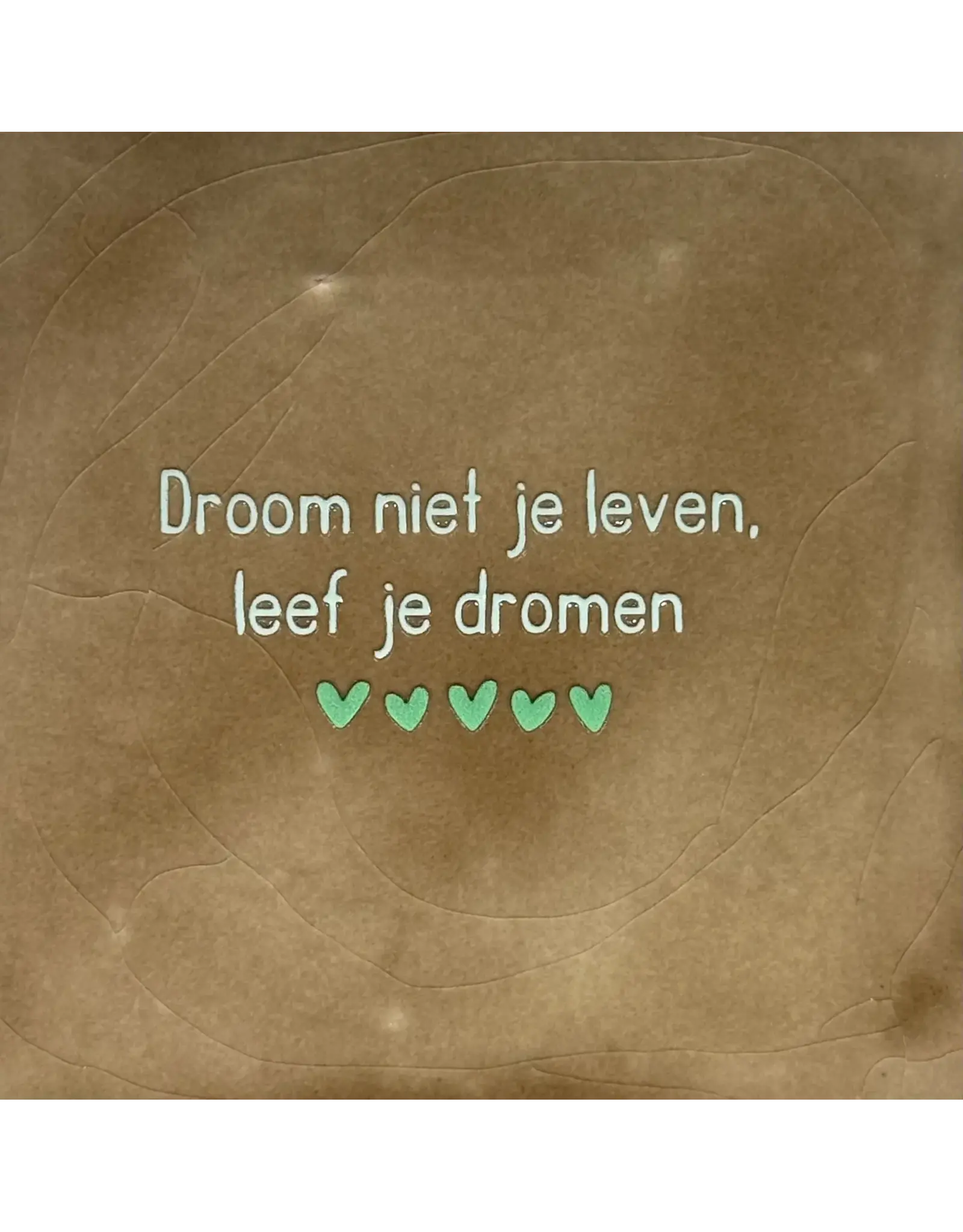 Yett Tegeltje - Droom niet je leven - Taupe/Mint - 10x10