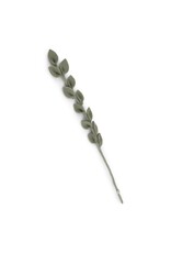 Gry & Sif Vilten Bloem, Eucalyptus - 50cm