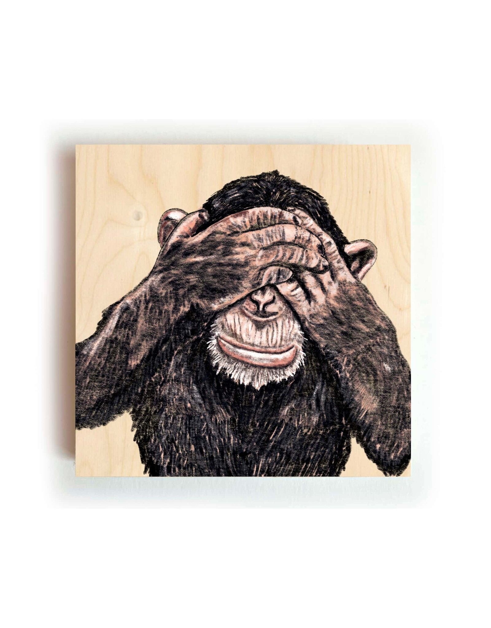 Kathings Houten Blokje - Chimpansee - 10x10 cm