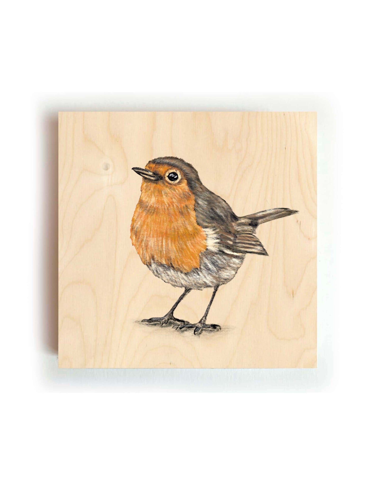 Kathings Houten Blokje - Robin - 10x10 cm