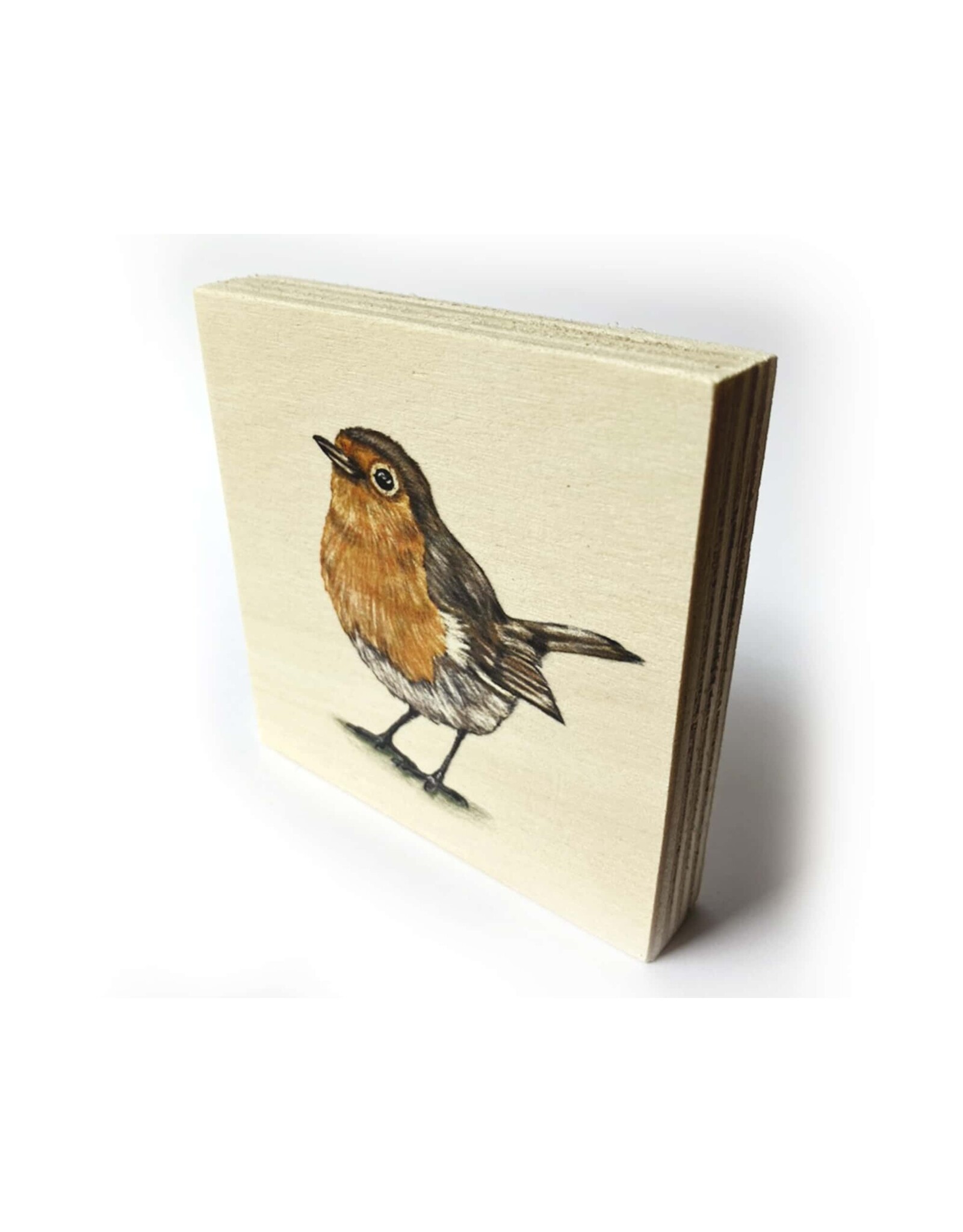 Kathings Houten Blokje - Robin - 10x10 cm