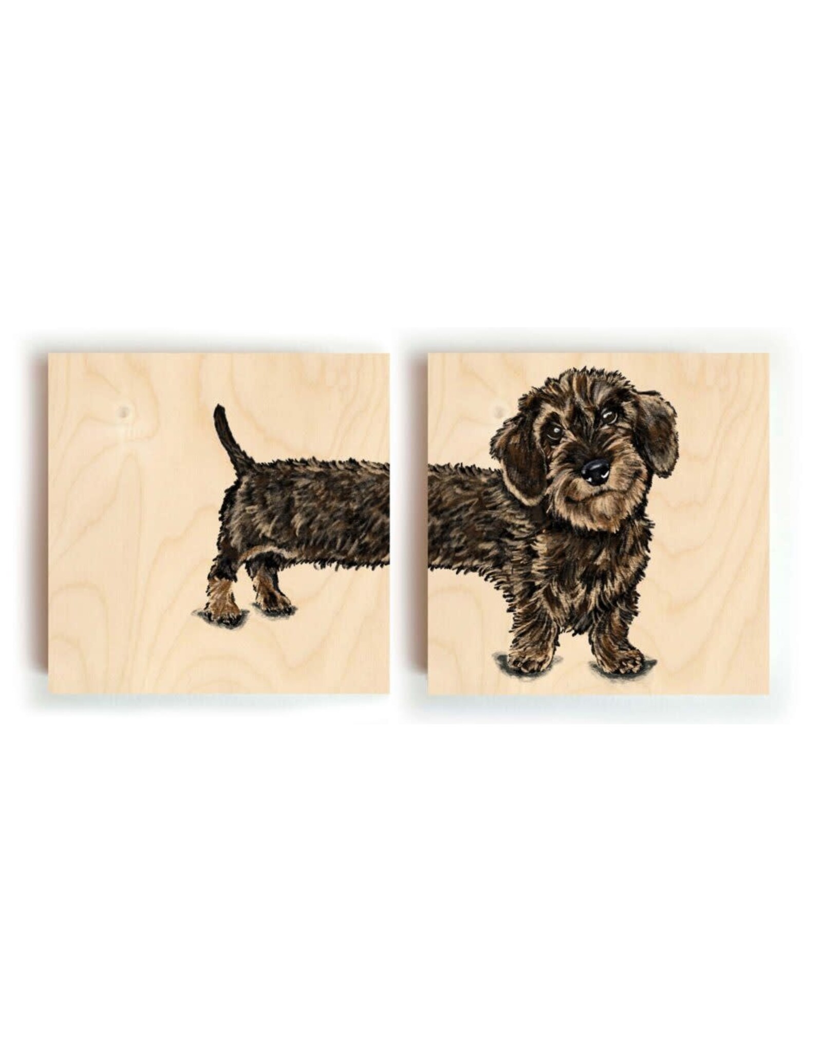 Kathings Houten Blokje - Teckel Tail - 10x10 cm
