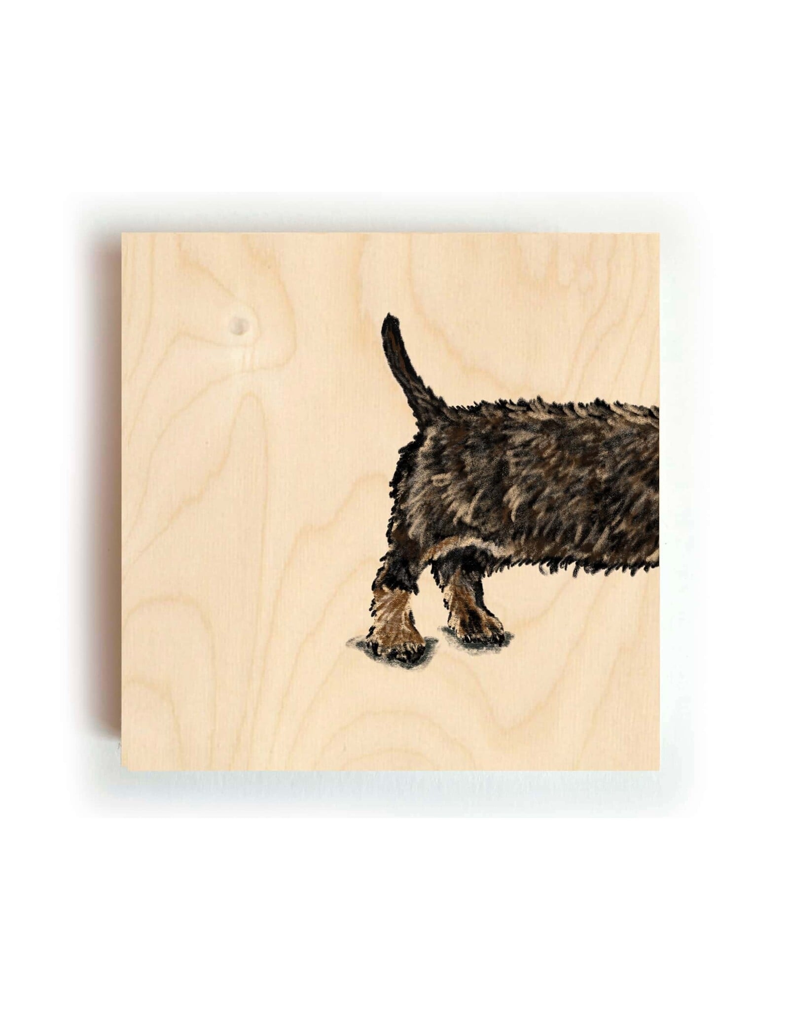 Kathings Houten Blokje - Teckel Tail - 10x10 cm