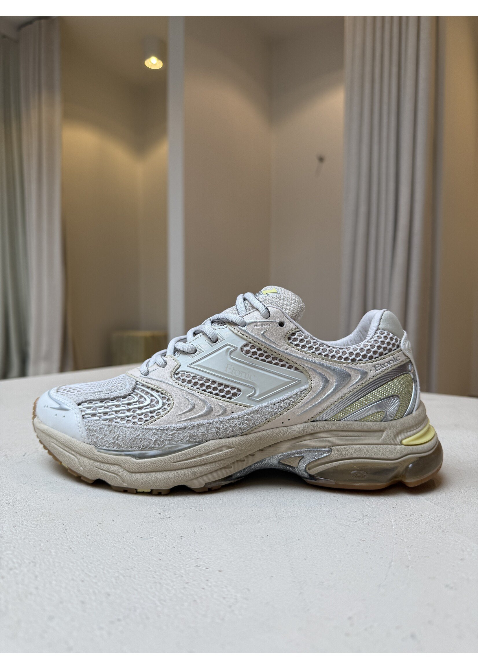 ETONIC EVOLUTION TERRA TURTLEDOVE