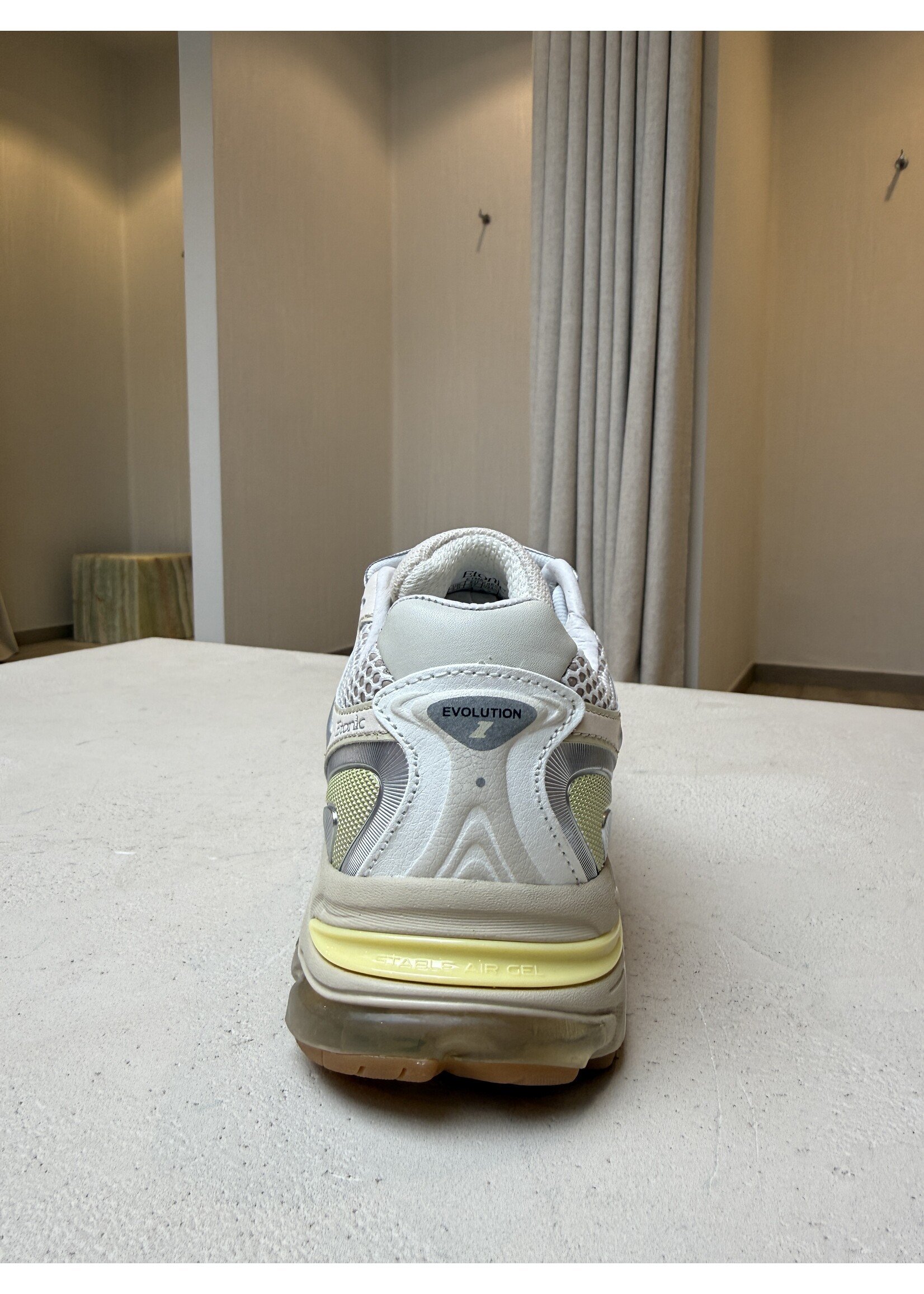 ETONIC EVOLUTION TERRA TURTLEDOVE