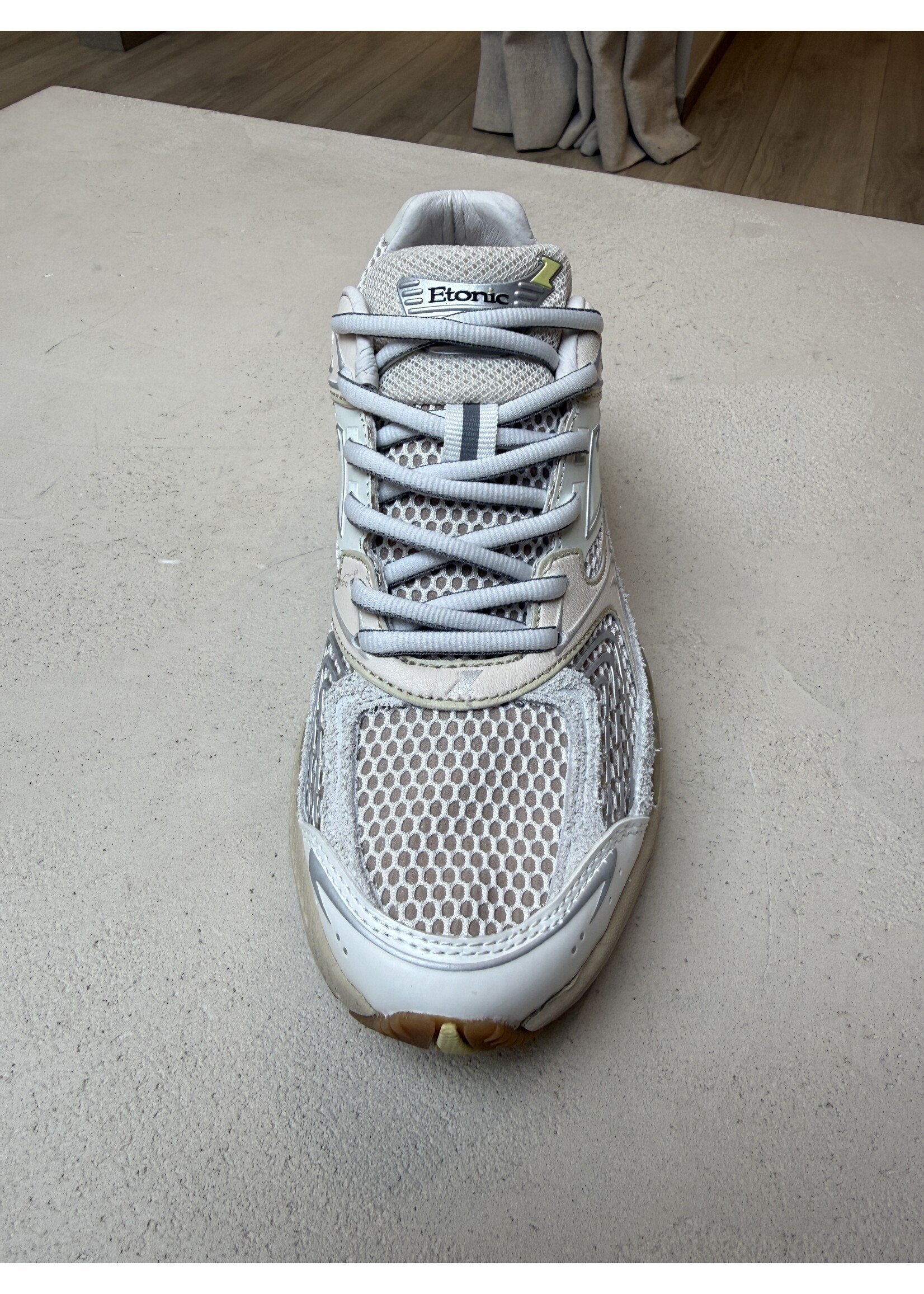 ETONIC EVOLUTION TERRA TURTLEDOVE