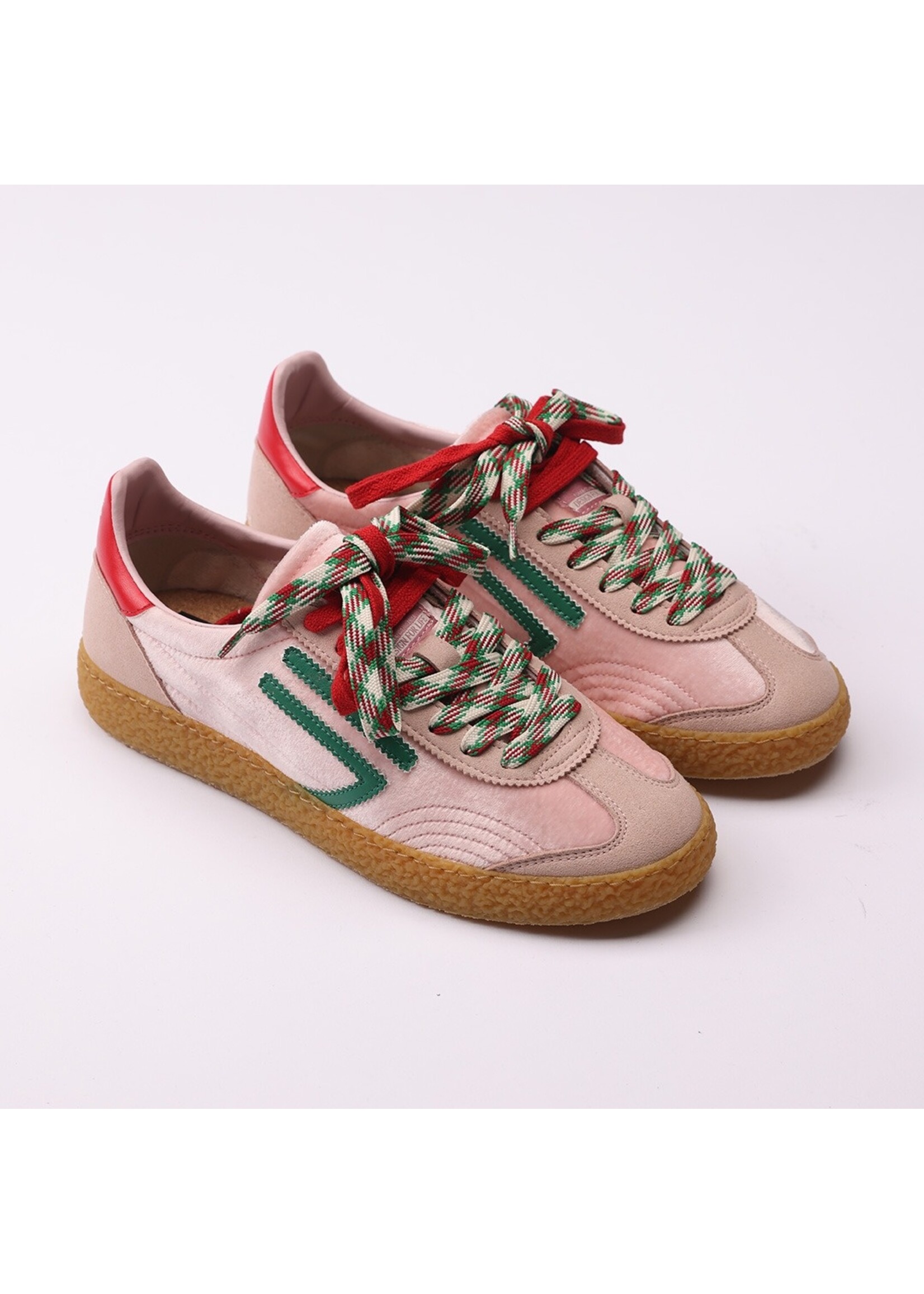 PURAAI 6.01 XS CONCH SHELL