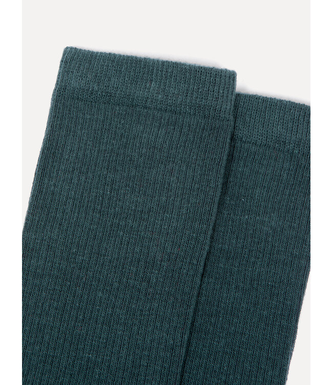 LES SOEURS LS ROBIN FINE RIB SOCKS GREEN