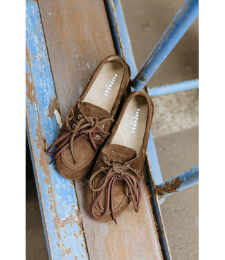 PAVEMENT PA MARIN LACE DARK BROWN SUEDE 221