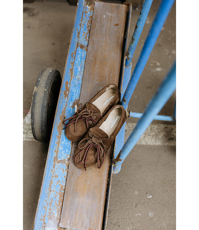 PAVEMENT PA MARIN LACE DARK BROWN SUEDE 221