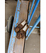 PAVEMENT PA MARIN LACE DARK BROWN SUEDE 221