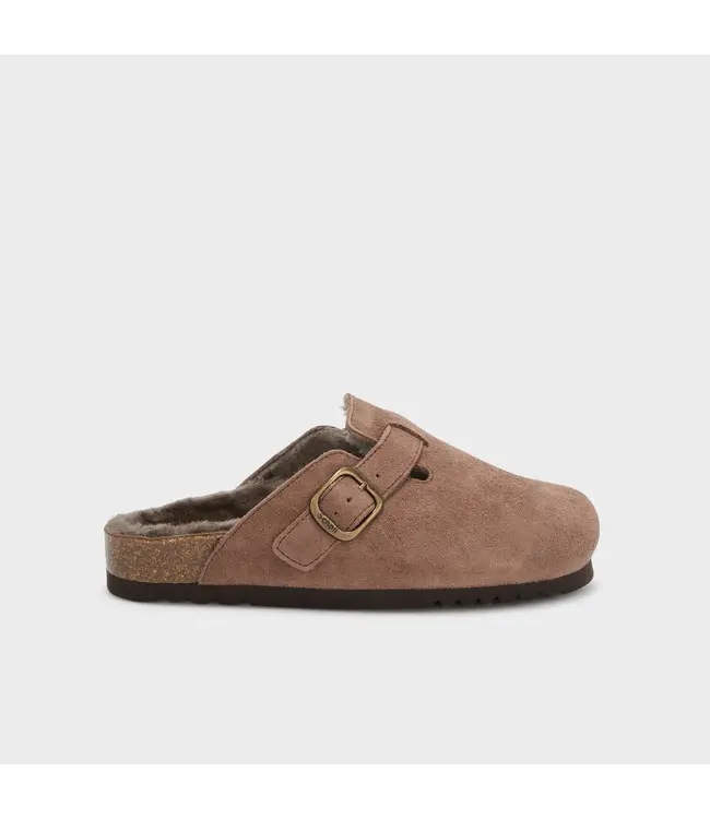 SCHOLL SC FAE NEW F SUE_SA-W ESPRESSO