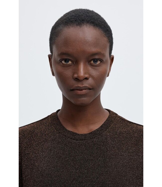 SELECTED FEMME SLWNORI SS BOXY TEE DELICIOSO