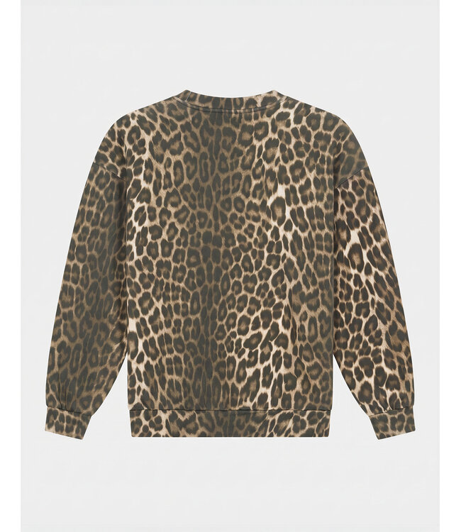 STIEGLITZ ST SABRINA SWEATER BROWN AOP