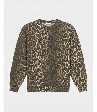 STIEGLITZ ST SABRINA SWEATER BROWN AOP