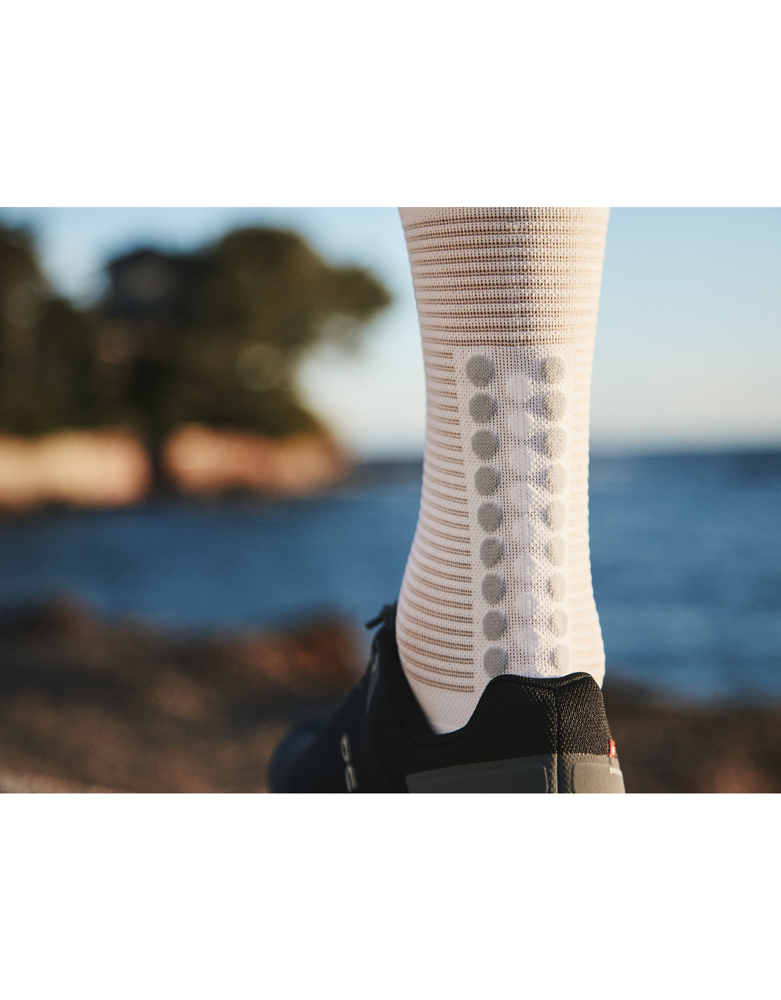 Compressport Pro Racing Socks v4.0 Run High - White/Alloy