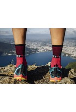 Compressport Pro Racing Socks Winter Trail Hardloopsokken - Zwart/Rood