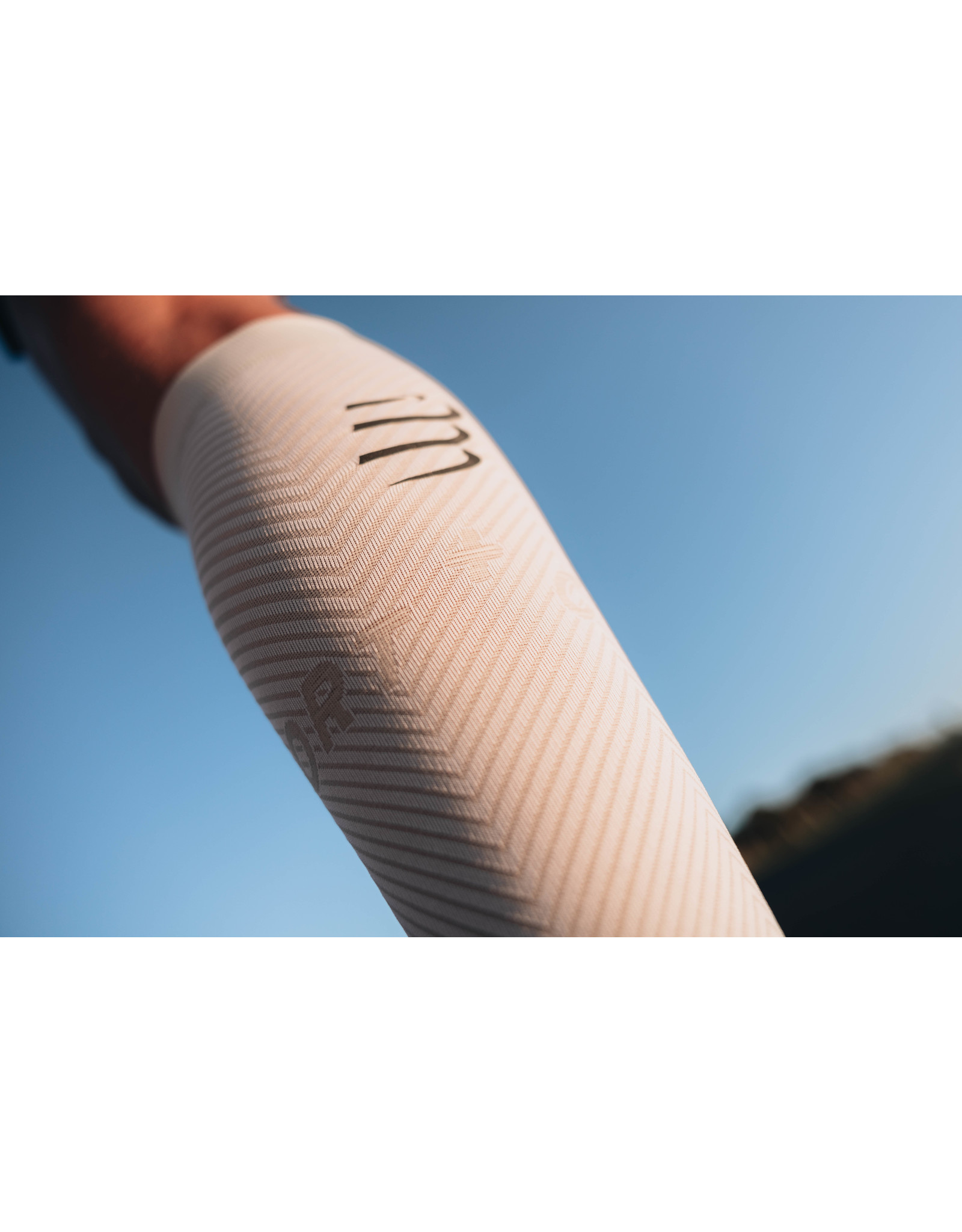 Compressport R2 Oxygen - White/Neble Grey