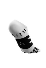 Compressport No Show Socks - White/Black