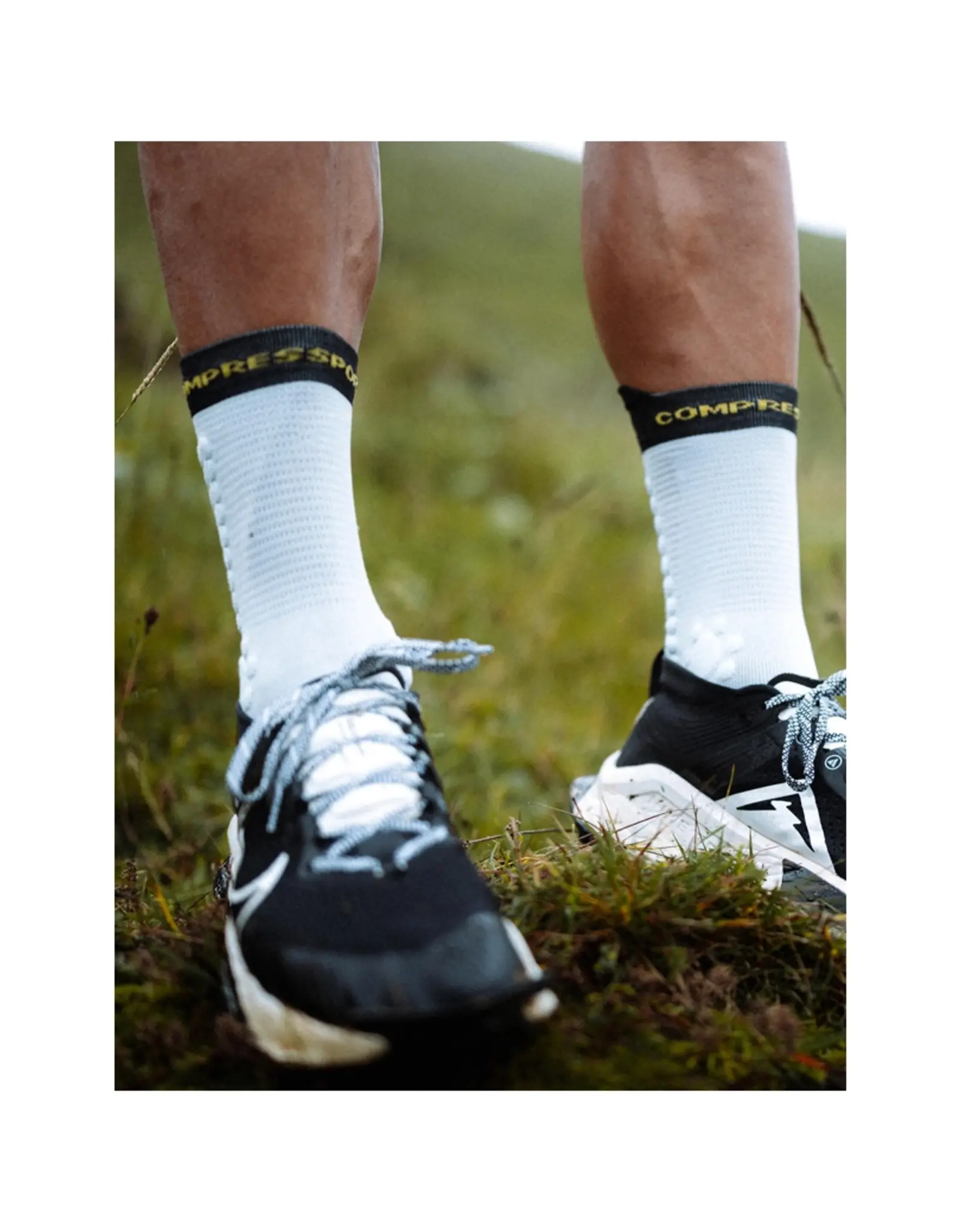 Compressport Pro Racing Socks V4.0 Trail - Grey Dawn/Ceylon Yellow