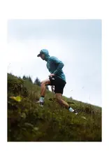 Compressport Pro Racing Socks V4.0 Trail - Grey Dawn/Ceylon Yellow