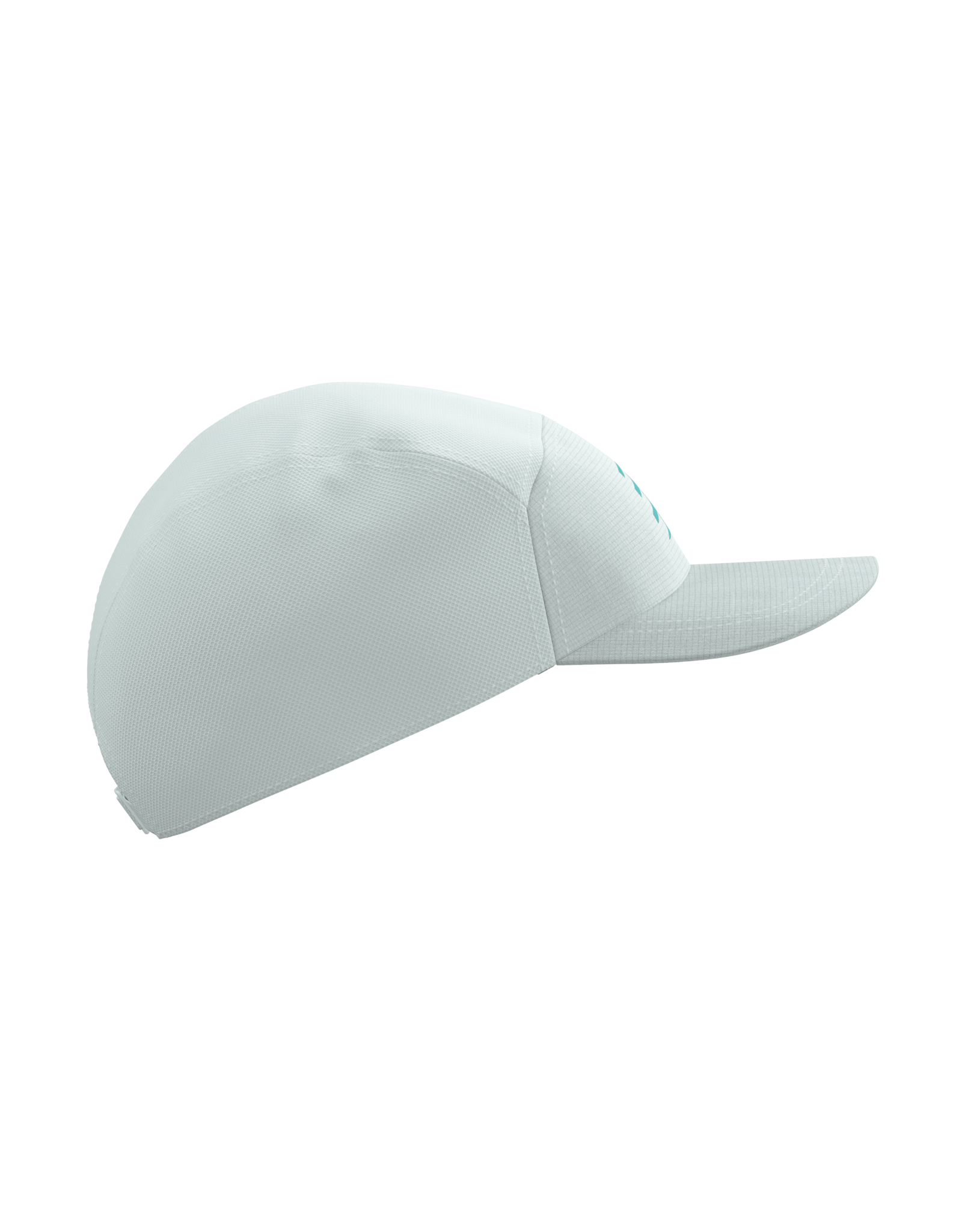 Compressport 5 Panel Cap - Star White/Blue-Green