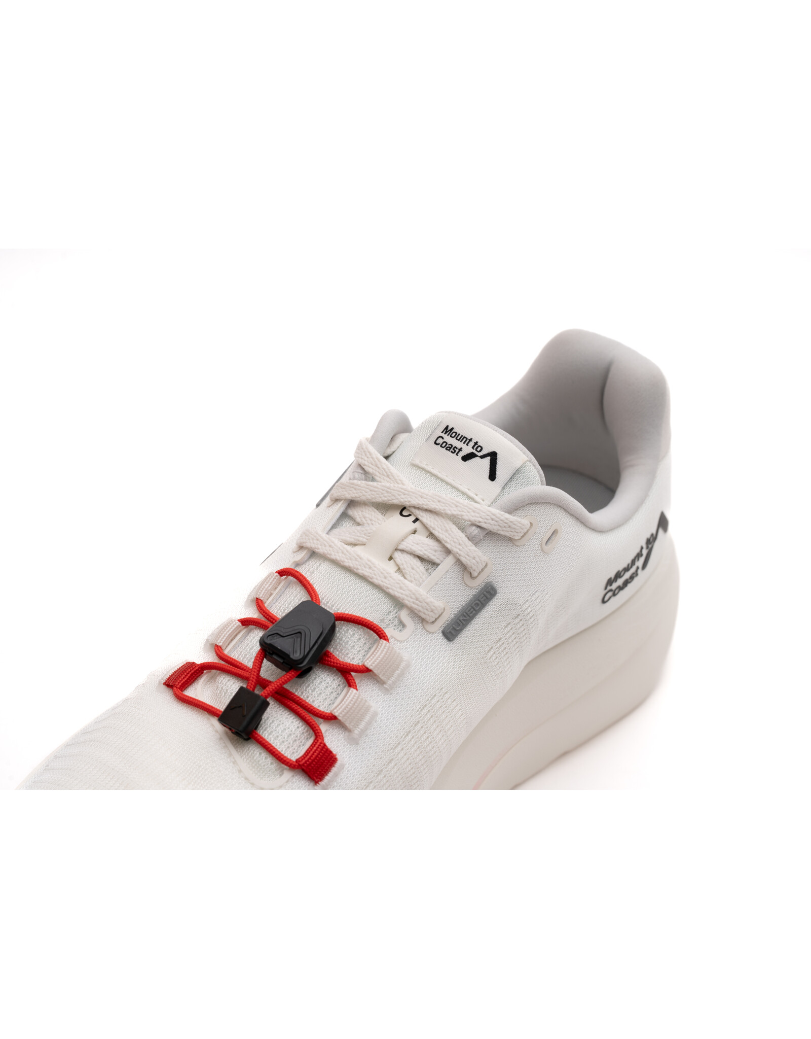 Mount to Coast C1 - Heren - Pulse