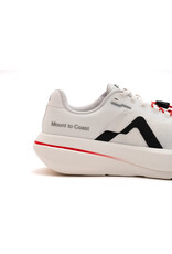 Mount to Coast C1 - Heren - Pulse