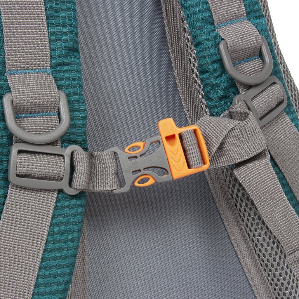 New Rebels New Rebels Kinley Omaha Petrol 20L Backpack