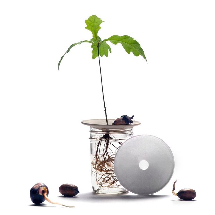 Botanopia Botanopia S