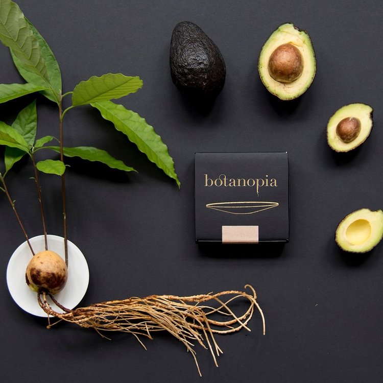 Botanopia Botanopia L