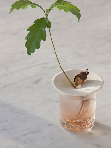 Botanopia Botanopia S