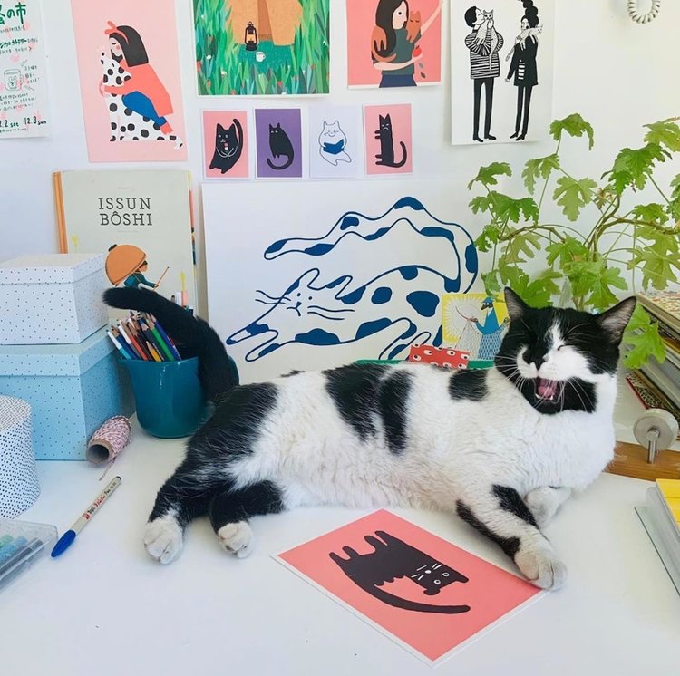 Atelier Titi Poster A slightly confused cat Pink A5