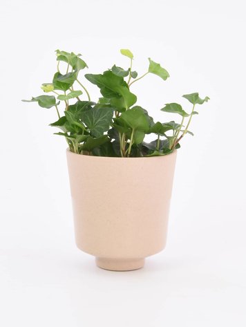 Studio Harm&Elke Bloempot Dip Zand