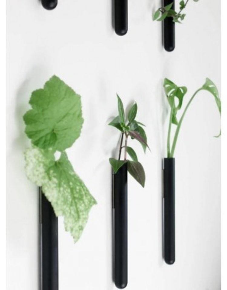 Muurbloempjes Muurbloempje glas Zwart