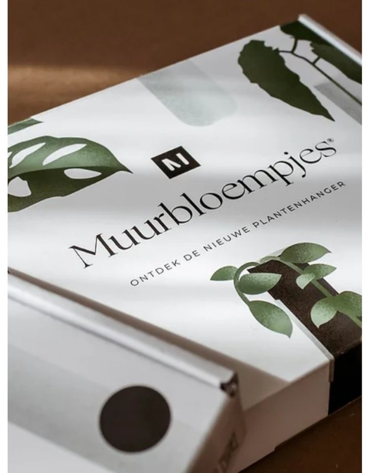 Muurbloempjes Muurbloempje glas Zwart