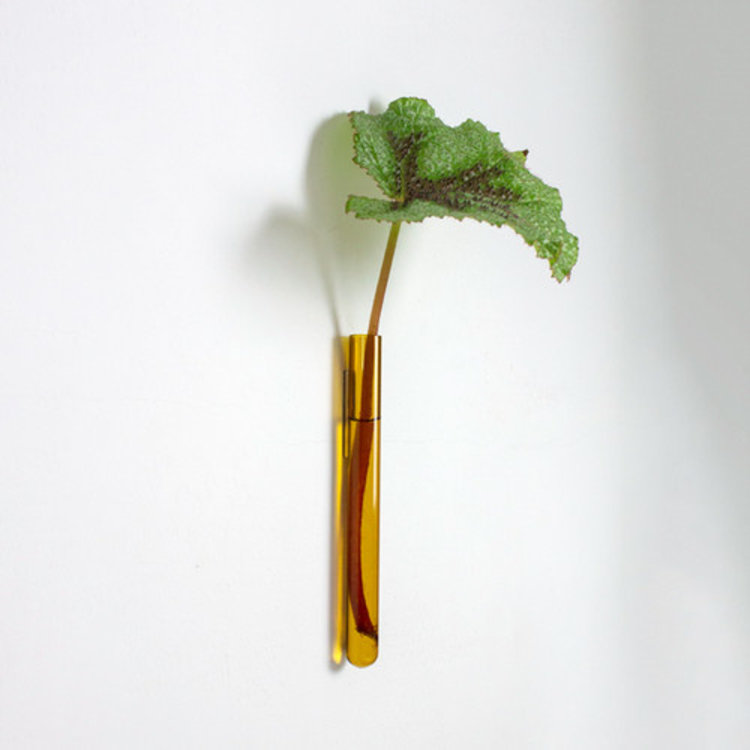 Muurbloempjes Muurbloempje glas Amber