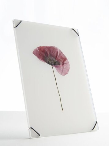 Carmela Bogman Flower Frame Transparant White Medium