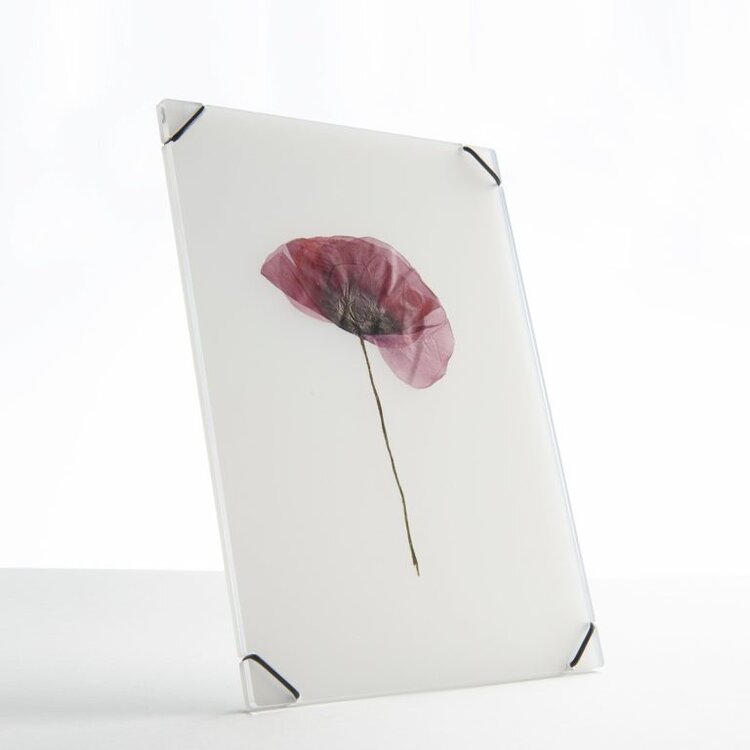 Carmela Bogman Flower Frame Transparant White Medium