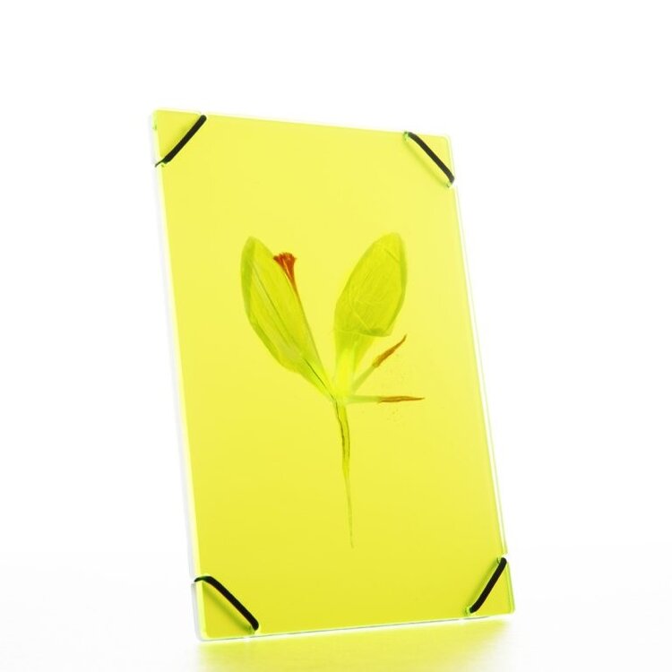 Carmela Bogman Flower Frame Bright Yellow Small