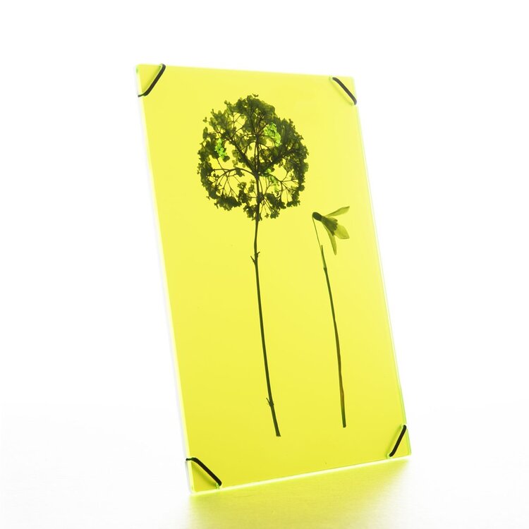 Carmela Bogman Flower Frame Bright Yellow Medium
