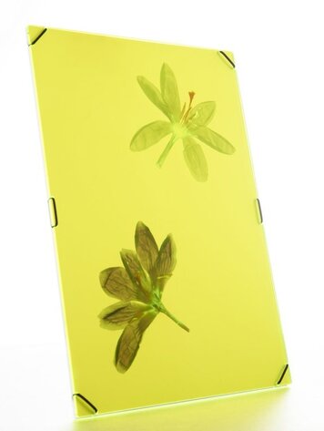 Carmela Bogman Flower Frame Bright Yellow Large