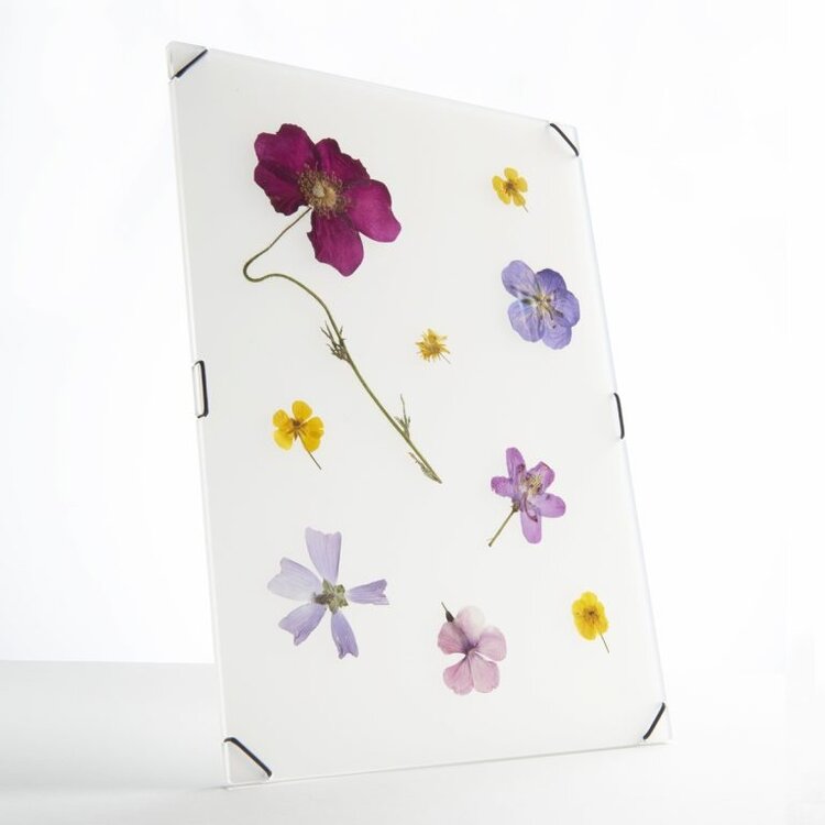 Carmela Bogman Flower Frame Transparant White Large